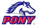 Pony